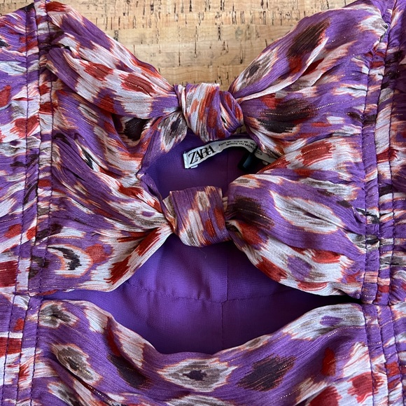 Zara Multicolor Purple Chiffon Ruched Cutout
Strappy Mini Dress - Picture 9 of 10